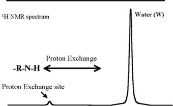 Proton "Slow" Exchange
