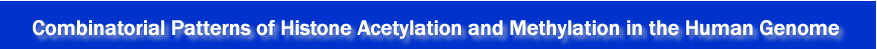 Combinatorial Patterns of Histone Acetylation and Methylation in the Human Genome