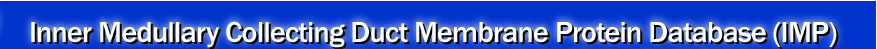 Inner Medullary Collecting Duct Phosphoprotein Database (IMP)