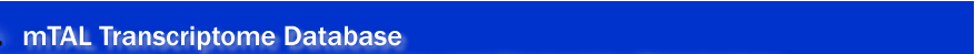 mTAL Transcriptome Database