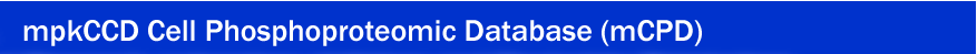 mpkCCD Cell Phosphoproteomic Database (mCPD)