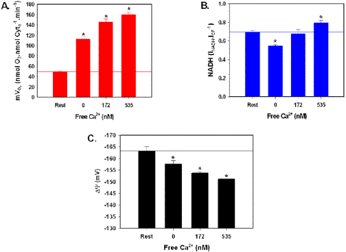 Steady state plots of mVO2 (A), NADH (B), and DY (C) for mitochondria oxidizing G/M with [Ca2+]. 