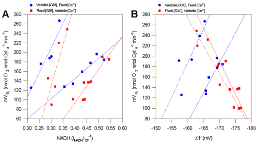 Representative force-flow relationships at State 3 respiration with variable Ca2+ and substrates.