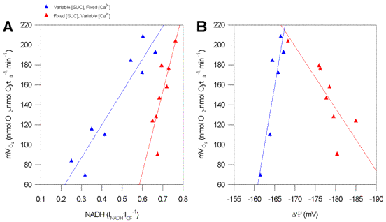 Typical State 3 activation plot of Fo/F1ATPase by Ca2+.