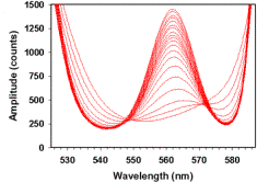 Plot of optical spectra acquired at various soluble O2 tensions between 21 and 0% O2 in a mixture containing 1nmol Cyta.ml-1 and 1.05nmol Hb.ml-1. 