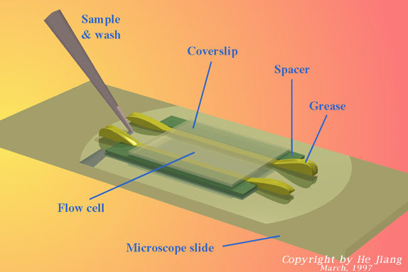 Scematic of the flowcell mounted on a microscope slides