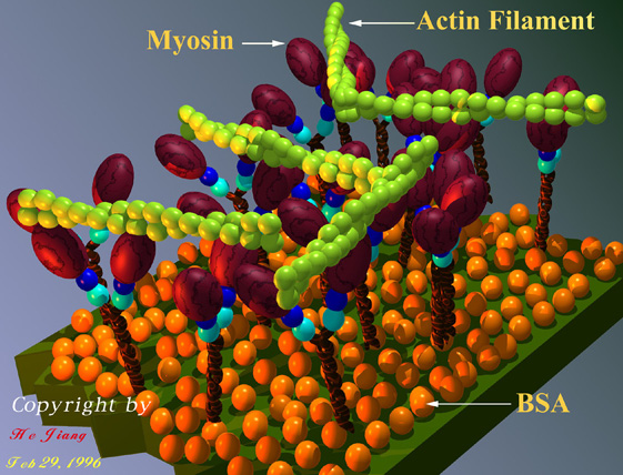 magnified view, molicules in colored spheres