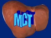 Molecular and Cellulary Toxicology logo